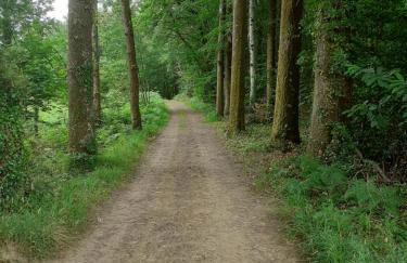 La Vieille Maison aux Canards - Foto 35