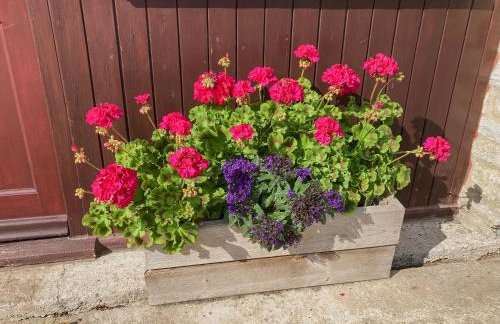 Bee Cottage - Foto 24