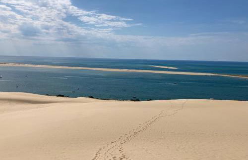 :Le tchanqué du bassin d'arcachon - Foto 21