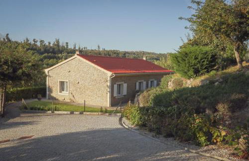 I Love Dão - Casas Da Fraga - Foto 60