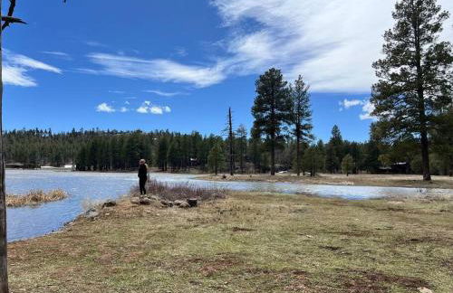The Bluejay Cabin at Munds Park, AZ! - Foto 60