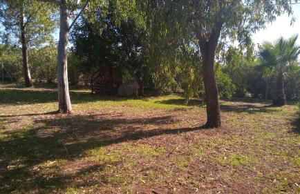 Olmedo Casa Vacanze - Foto 43