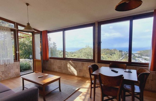 Sole Foca ( Ages 12+ ) - Foto 27