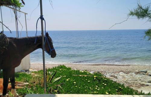 Floras Charming Waterfront Villa - Foto 13