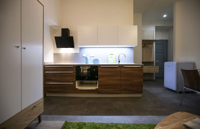 Apartments At The Blue Duckling - Photo 11