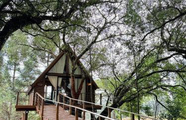 Casa na Árvore em Guarapuava - Foto 2