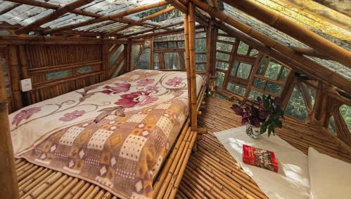 Casa Bambu Floresta Amada - Photo 4