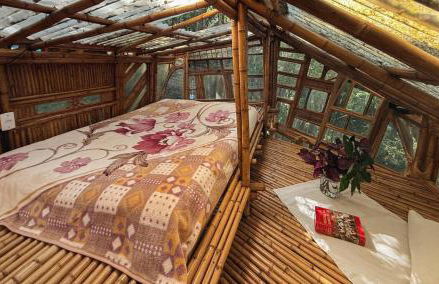 Casa Bambu Floresta Amada - Photo 4