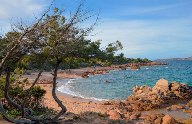 Apartment in Cannigione Near Beaches - Foto 28