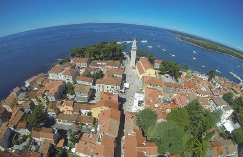 apartma Jelka - Foto 34