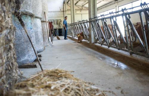 Agriturismo di Baroni Enzo - Foto 6