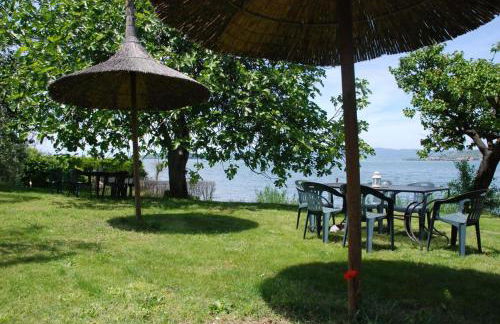 La Folaga del Trasimeno - Photo 26