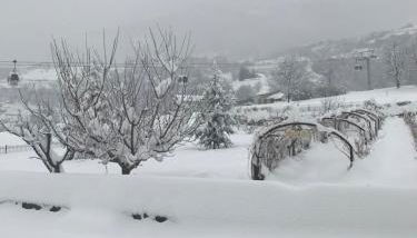 Chez Pépé Louis - Foto 2