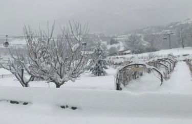 Chez Pépé Louis - Foto 2