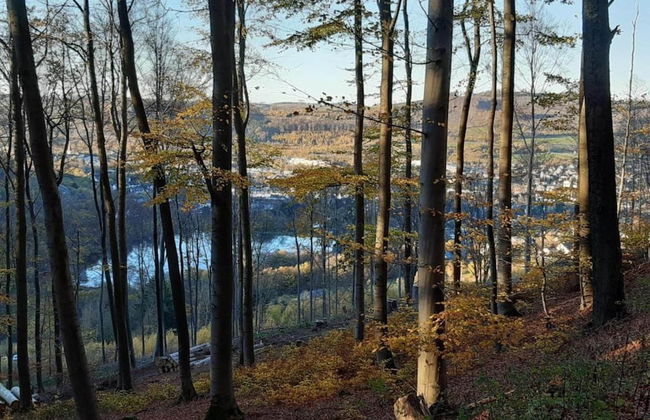 Gemutlicher Ruckzugsort in Olsberg-elpe - Foto 36