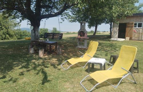 Yellow Rose - Foto 15