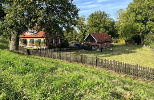 Holiday Home Haus Elbrose inmitten von Rosen mit Elbdeichzugang by Interhome - Foto 4