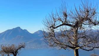 La Paloma San Zeno - Foto 2