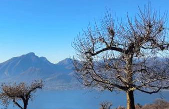 La Paloma San Zeno - Foto 2