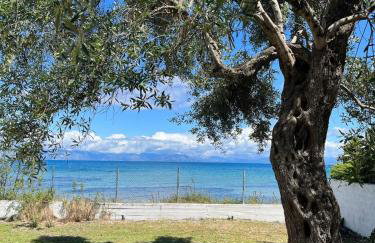 Beachfront Villa with Garden - Valentine Corfu - Foto 9