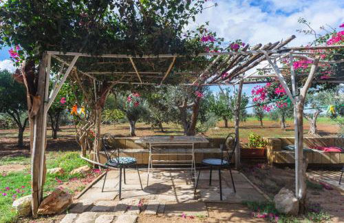 Masseria Tornesella Don Giuliano - Foto 59