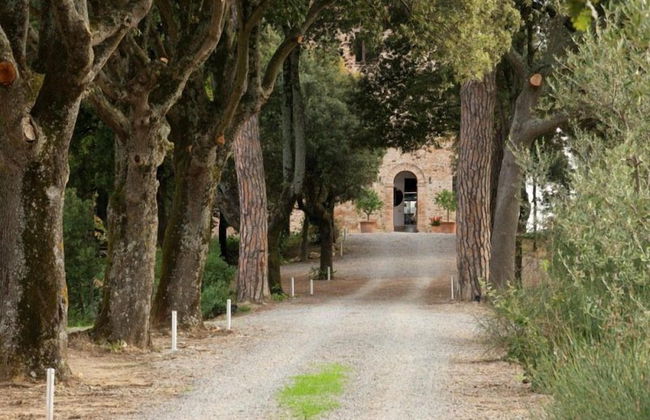 Poggio Piglia - Photo 65