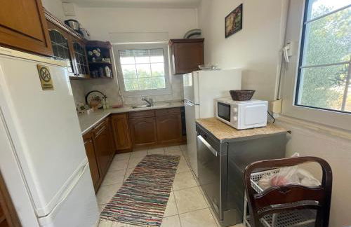 My House in Paralia Messi - Foto 28