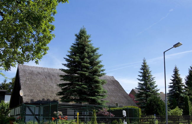 Attractive Holiday Home in Ahlbeck With Terrace - Foto 57