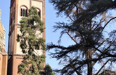 Loft Piazza Cavour Vercelli - Foto 45