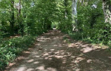 The Deli, Wilton - Foto 25