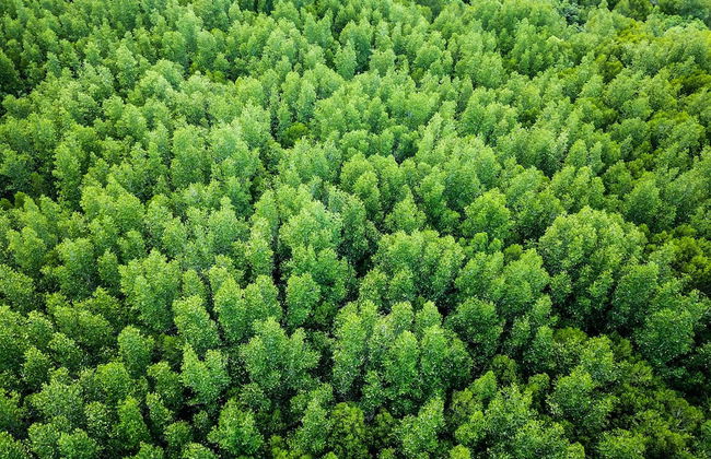 Mango House Seafront Suites And Villas - Foto 35