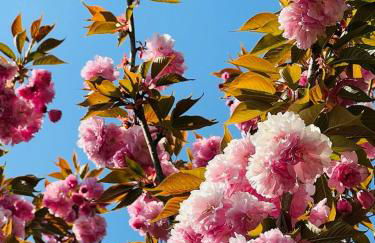 Cascina Tornara, ritorno alle origini monferrine - Foto 2