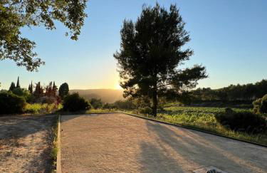 Mas Misajail - Foto 10