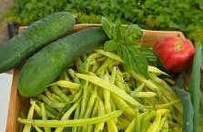 Osada Miłojeż - całoroczne Domy Premium w Borach Tucholskich, Jacuzzi pod gwiazdami - Foto 69