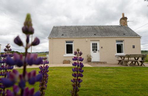 Bachilton Farm Holidays - Photo 6