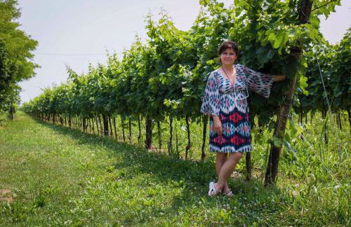 Tenuta Crescentini-ValleMura ,appartamenti con entrata indipendente - Foto 39