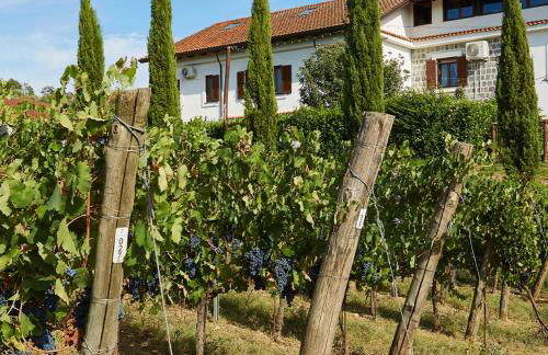 Tenuta Tralice - Foto 16