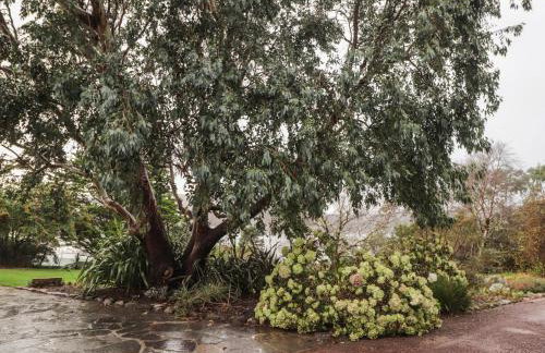 Inverewe - Garden Lodge - Photo 42