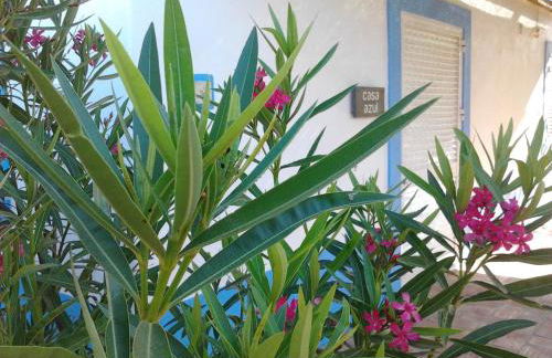 Quinta da Fornalha - Santuario Agroecologico - Foto 47