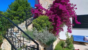 My Place Hvar - Foto 4, Garden, Garden view