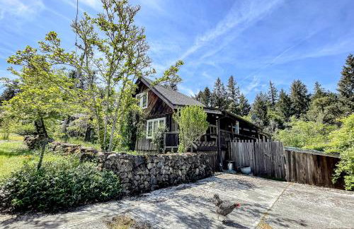 Cozy Trinity Cottage - Foto 20