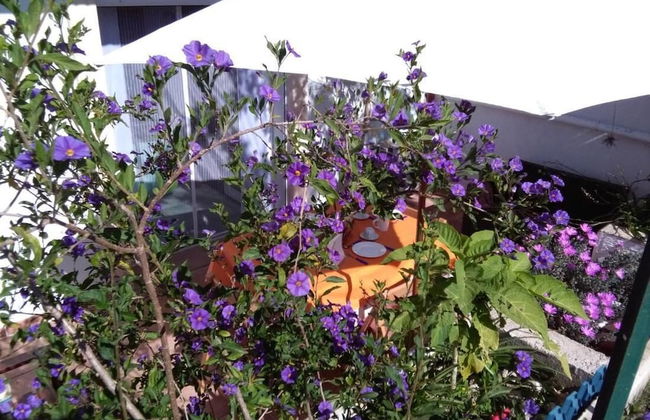 Maison Alighieri Oasi Verde - Photo 43