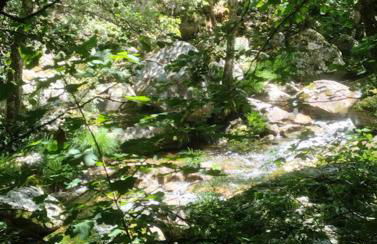 O Recuncho da Isa - Ribeira Sacra - Foto 41