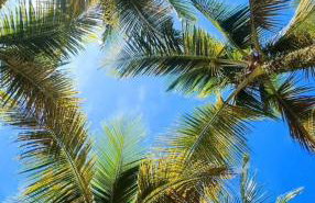 Apartamento Porto Real - Foto 34