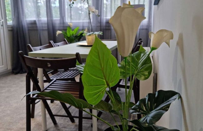 Remarkable 3-bed Apartment in London - Foto 25