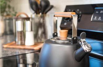 NEW! Boise BaseCamp -Fire Pit -E-Bikes -Greenbelt - Foto 13