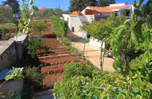 Apartments with a parking space Ugljan - 8416 - Foto 8