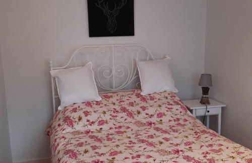 LE PHENIX à internet haut débit & parking - Foto 17