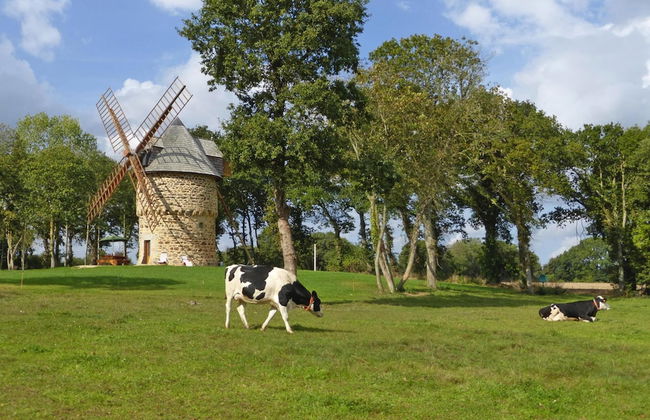 Windmill Stay Near Goelo Coast Beaches - Foto 16