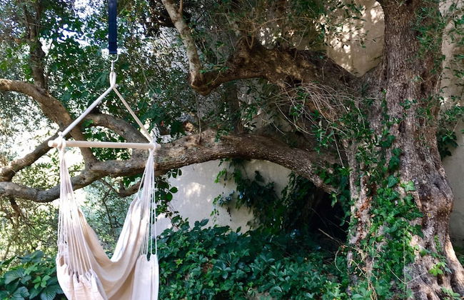 Agriturismo Don Cesarino - Photo 45